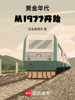 黄金年代从1977开始TXT下载